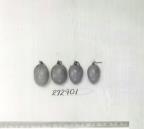 Click for 1 image(s) for this accession. FRUIT